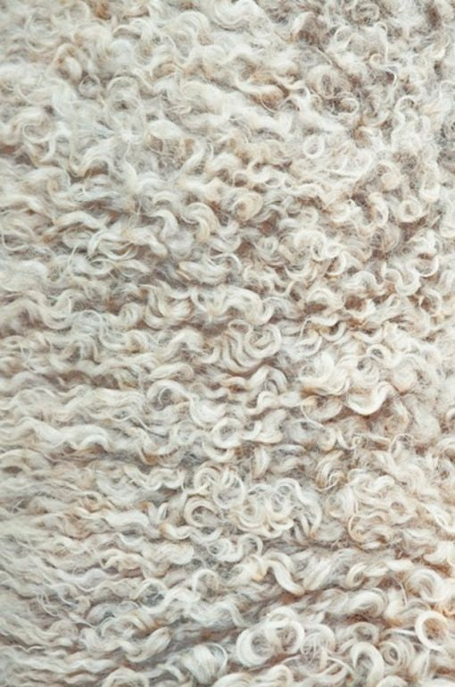 Close-up texture of raw curly wool fibres