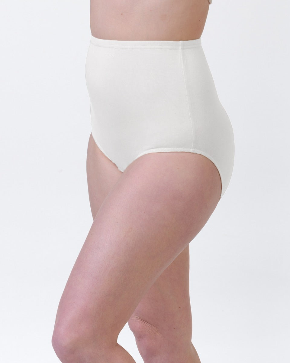Bamboo Comfort Full Briefs