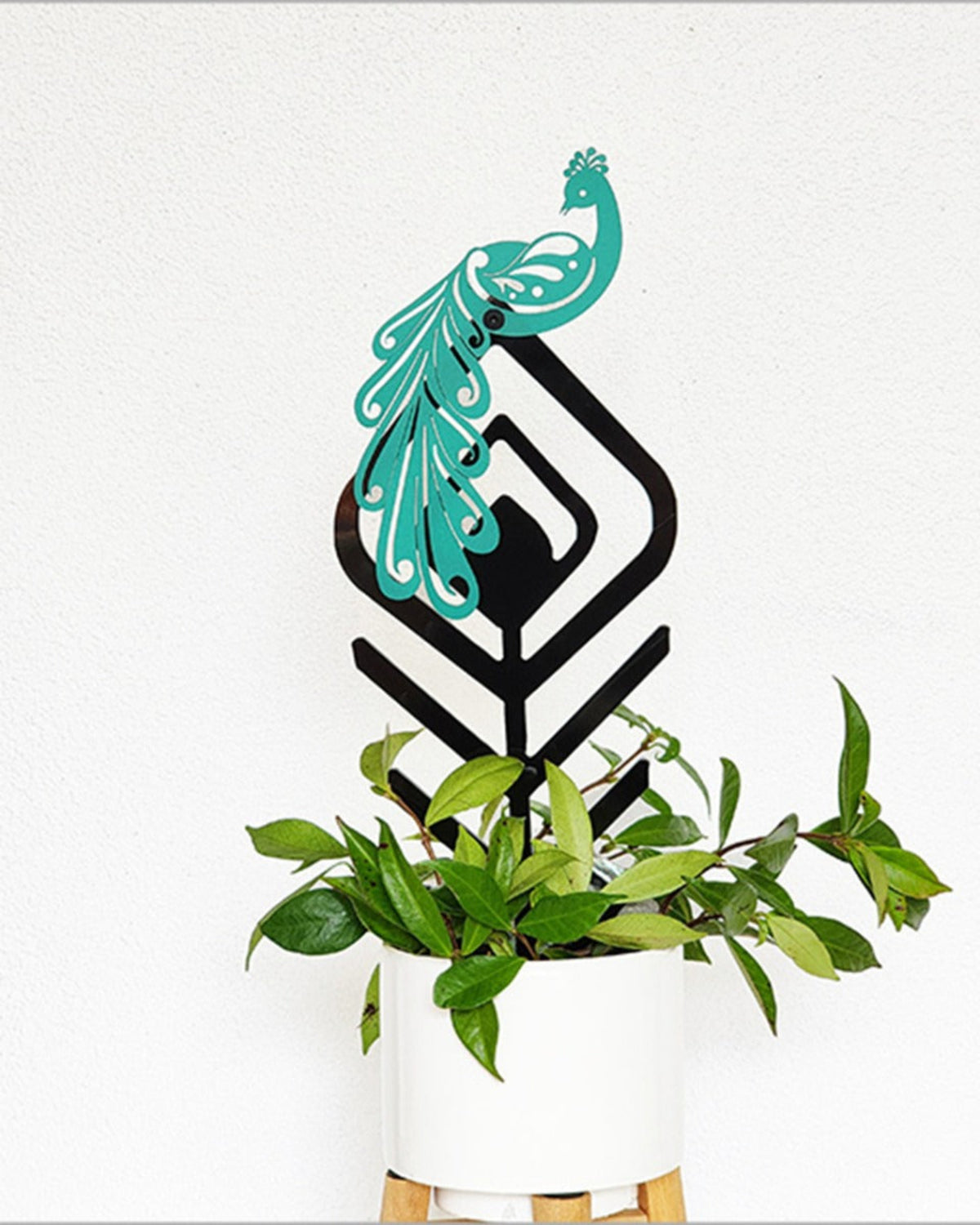 Decorative wall art with a peacock design on a white background