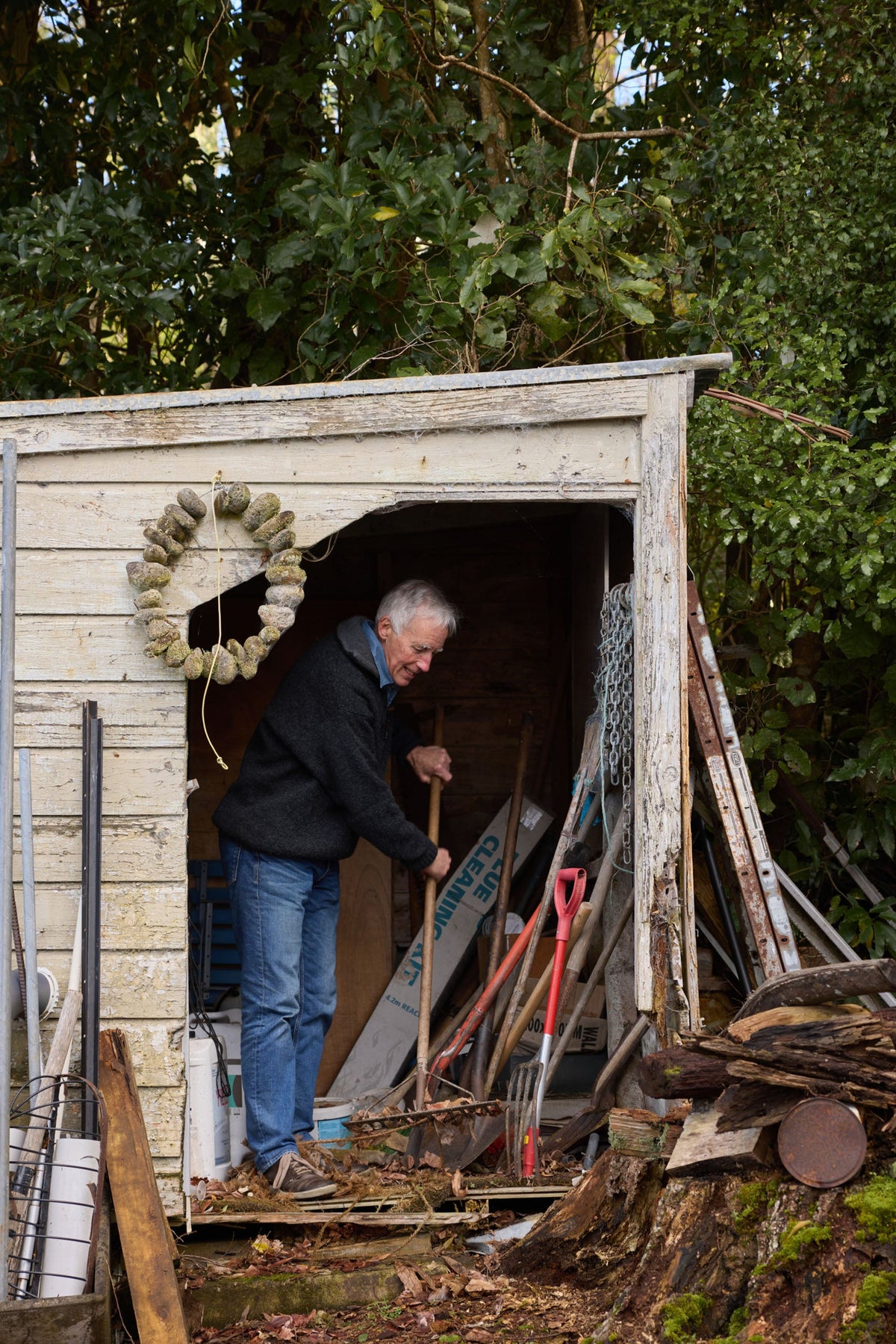 possum merino A man in a black hoodie and blue jeans stands in the doorway of a weathered wooden shed, holding a garden rake. The shed is cluttered with tools, wood, and a seashell wreath hanging on the side, set against a background of dense green trees.
