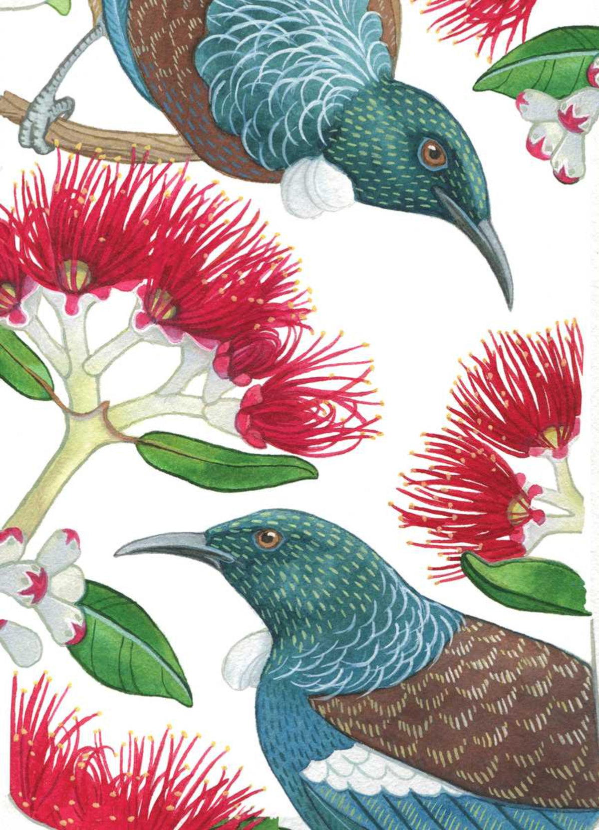 Tui screen cloth Illustration of birds and red flowers on a white background